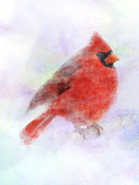 Crimson Cardinal in Dreamlight 8x10 Watercolor Bird Art Print Wall Decor